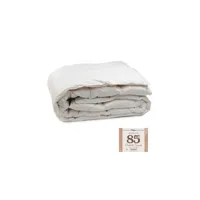 couette lestra softyne 85% duvet 260x240