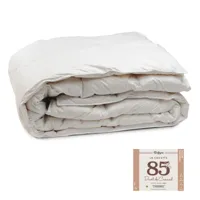 couette lestra softyne 85% duvet 240x220