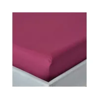 homescapes drap-housse uni 180 x 200 cm 100 % coton égyptien 200 fils coloris prune bl1115d
